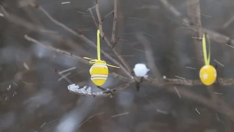Easter eggs in tree on snowy day Stock Footage 87569850