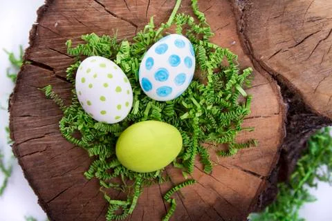 Easter eggs on a tree stump Stock Photos