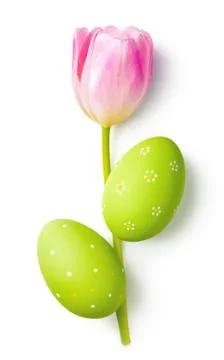 Easter Eggs With Tulip Flower Stock Photos