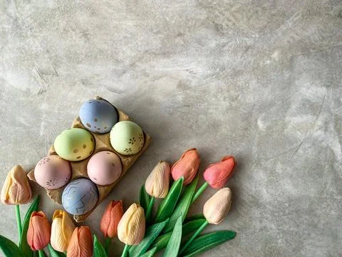 Easter eggs with tulips on background Stock-Fotos