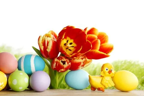 Easter eggs with tulips Stock Photos
