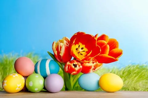 Easter eggs with tulips 写真素材