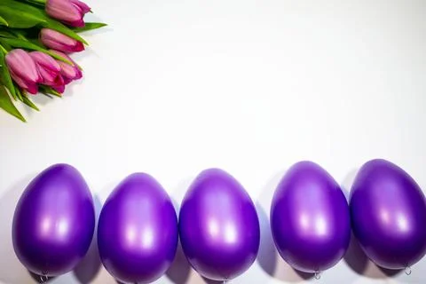 Easter eggs with tulips on a white background Stock Photos
