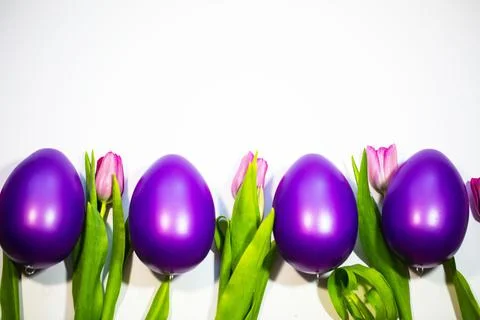 Easter eggs with tulips on a white background Stock Photos