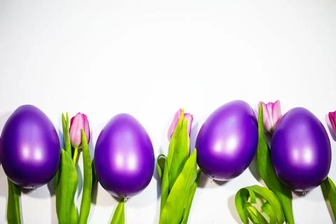 Easter eggs with tulips on a white background Stock Photos