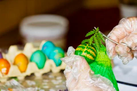 Easter eggs in various colors Stock Photos
