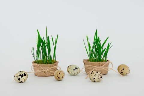 Easter eggs on a white background Stock Photos