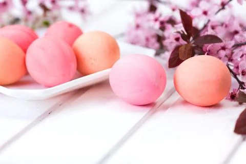 Easter eggs on white board Stock Photos