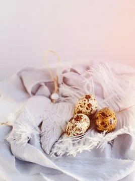Easter eggs with white feather on white and gray background. Happy Easter hol Stock Photos