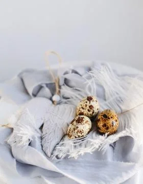 Easter eggs with white feather on white and gray background. Happy Easter hol Stock Photos