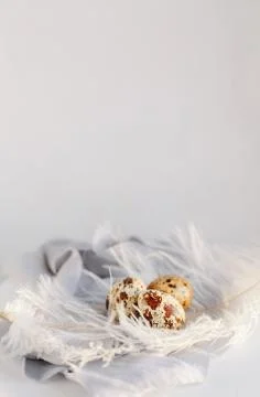 Easter eggs with white feather on white and gray background. Happy Easter hol Stock Photos