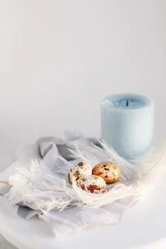 Easter eggs with white feather on white and gray background. Happy Easter hol Stock Photos