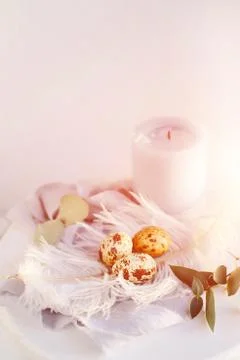 Easter eggs with white feather on white and gray background. Happy Easter hol Stock Photos