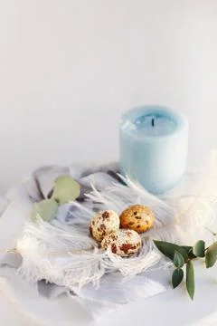 Easter eggs with white feather on white and gray background. Happy Easter hol Stock Photos