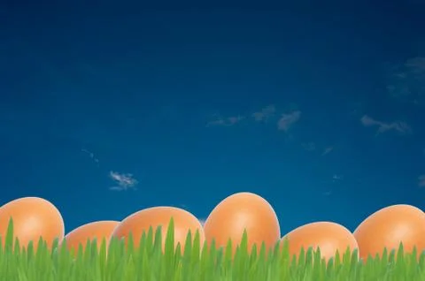 Easter eggs on whiter background Stock Illustration