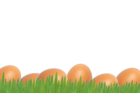 Easter eggs on whiter background Illustrazione stock