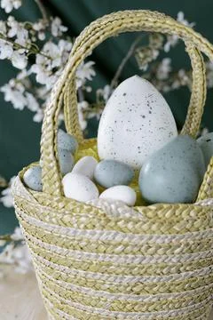 Easter eggs in a wicker basket on the background blossoming plum branches Stock Photos