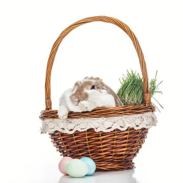 Easter eggs wicker basket cute Stock Photos