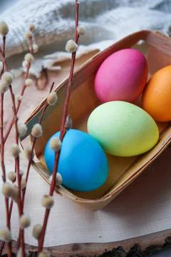 Easter eggs with willow branch Stock Photos