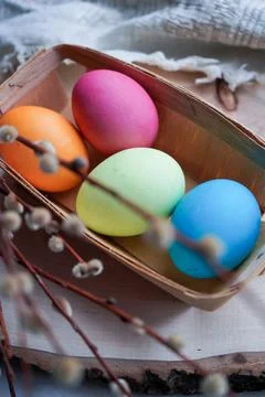 Easter eggs with willow branch Stock Photos