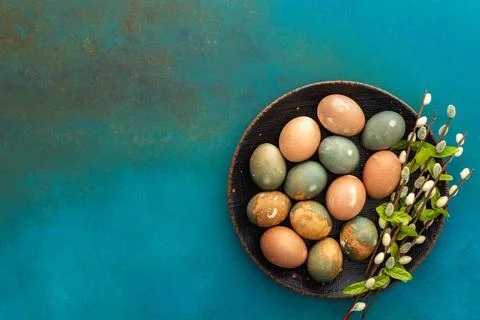 Easter eggs with willow branches Stock Photos