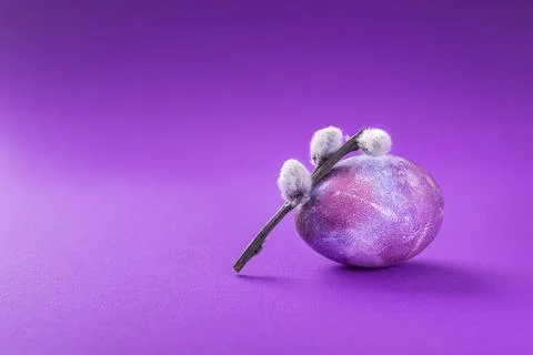 Easter eggs with willow branches on a trend violet Stock Photos