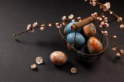 Easter eggs in wire basket with blooming branches Photos