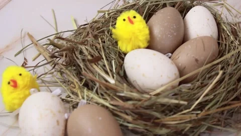 	Easter eggs with yellow chickens Stock Footage 151411817
