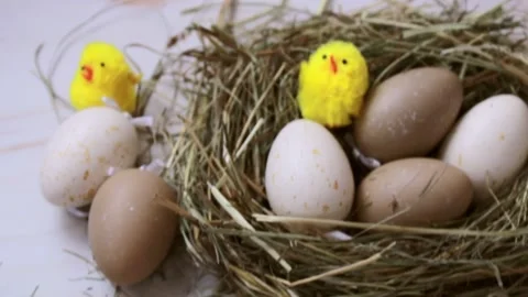 Easter eggs with yellow chickens Stock Footage 151411826