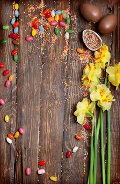 Easter empty background with Easter eggs and spring flowers Stock Photos