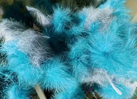 Easter feather closeup background Stock Photos