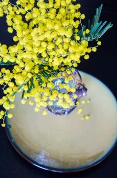 Easter festive concept Stock Photos