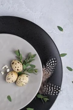 Easter  festive table setting with  gray plate, quail eggs leaf sprigs Foto stock