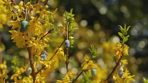Easter Figurines Stock Footage 51891955