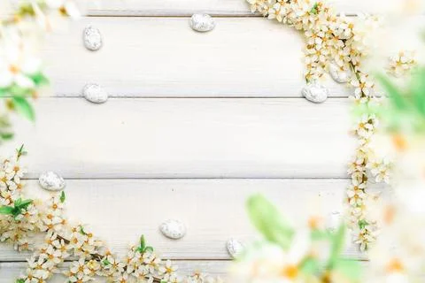 Easter flat. Cherry tree blossom, white happy easter eggs on wood spring Stock Photos