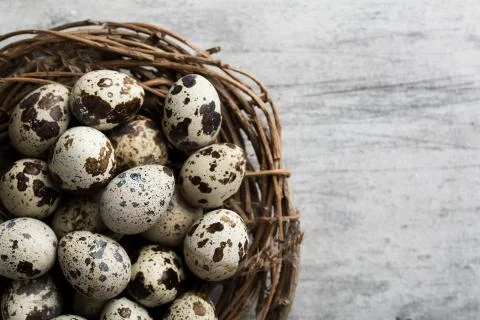 Easter flat lay background Stock-Fotos