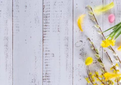 Easter flat lay background with spring flower, willow and easter eggs. Stock Photos