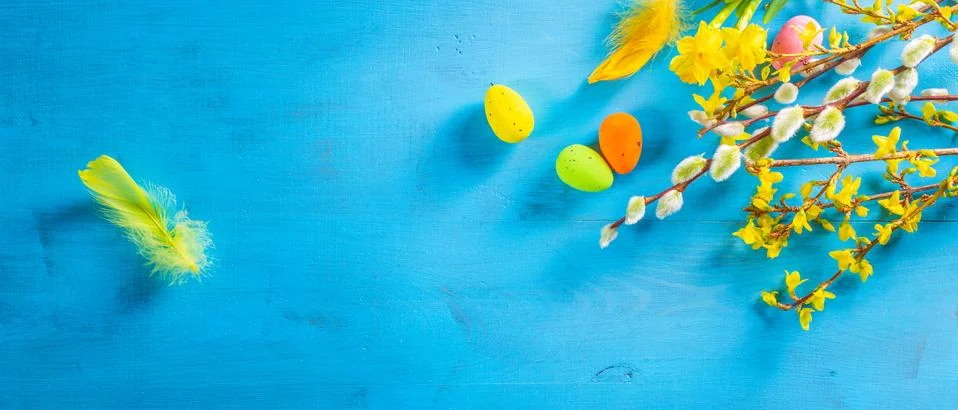 Easter flat lay background with spring flower, willow and easter eggs. Stock Photos