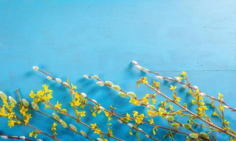 Easter flat lay background with spring flower, willow and easter eggs. Stock Photos