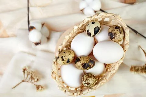 Easter flat lay composition  with cotton flowers and easter eggs in a small b Stock Photos