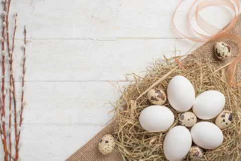 Easter flat -lay eggs, with space for design Stock Photos