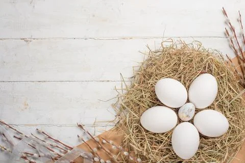 Easter flat -lay eggs, with space for design Stock Photos
