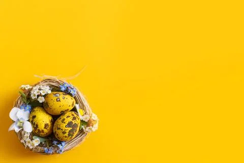 Easter flat lay. Stylish easter eggs in nest and spring flowers on yellow b.. Stock Photos