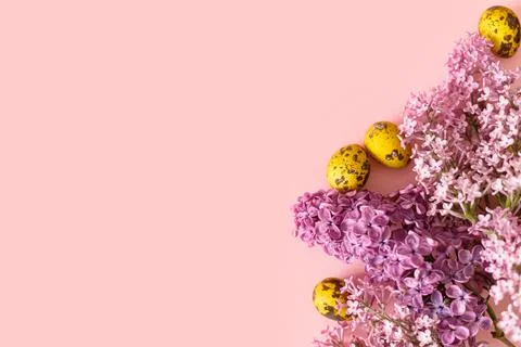 Easter flat lay. Stylish easter eggs and lilac flowers on pink background, .. Stock Photos
