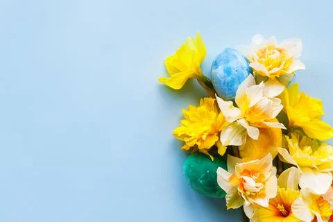 Easter flat lay. Stylish easter eggs and yellow daffodils flowers on blue b.. Stock Photos