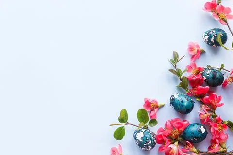 Easter flat lay. Stylish easter eggs and red flowers on blue background. Ea.. Stock Photos