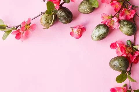 Easter flat lay. Stylish easter eggs and red flowers on pink background. Ea.. Stock Photos