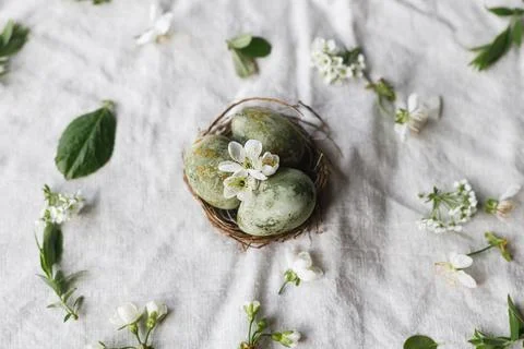 Easter flat lay. Stylish easter eggs in nest, flowers and cherry blossoms o.. 스톡 사진
