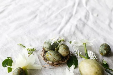 Easter flat lay. Stylish easter eggs in nest, daffodils flowers and cherry .. 스톡 사진
