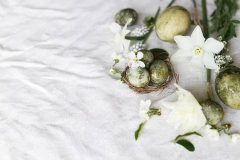Easter flat lay. Stylish easter eggs in nest, daffodils flowers and cherry .. Stockfoto's